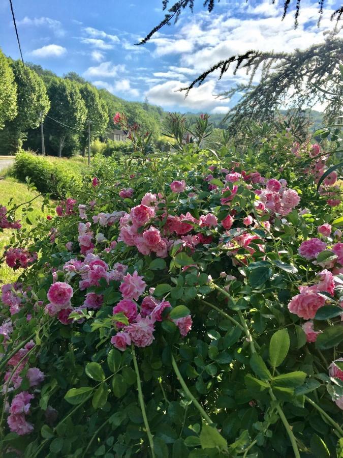 La Provencale B&B Duravel Exteriör bild